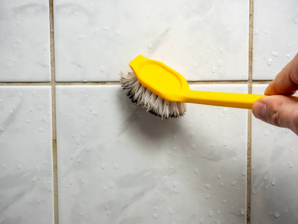 Best Certified Mold Removal  in Hornell, NY