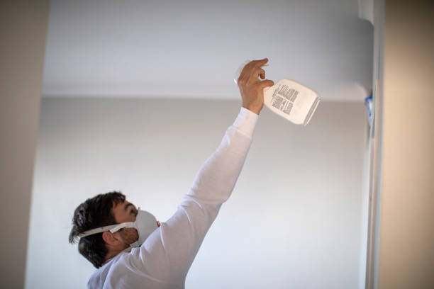 Best Residential Mold Removal  in Hornell, NY